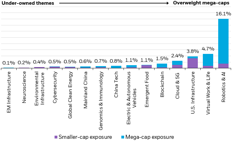 Bar chart depicting thematic exposures, split into smaller-cap holdings, and mega-cap holdings.