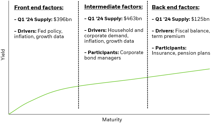 Illustration depicting what may potentially drive the shape of the yield curve.
