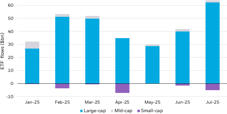 Bar graph demonstrating large-cap, mid-cap, and small-cap ETF flows from January to July 2025