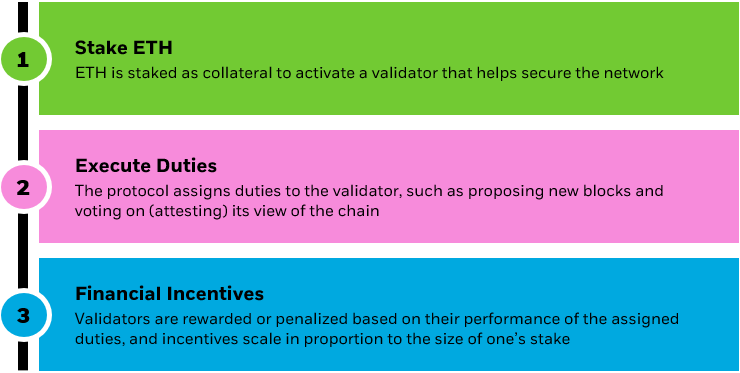 Infographic further explaining the steps involved in staking.
