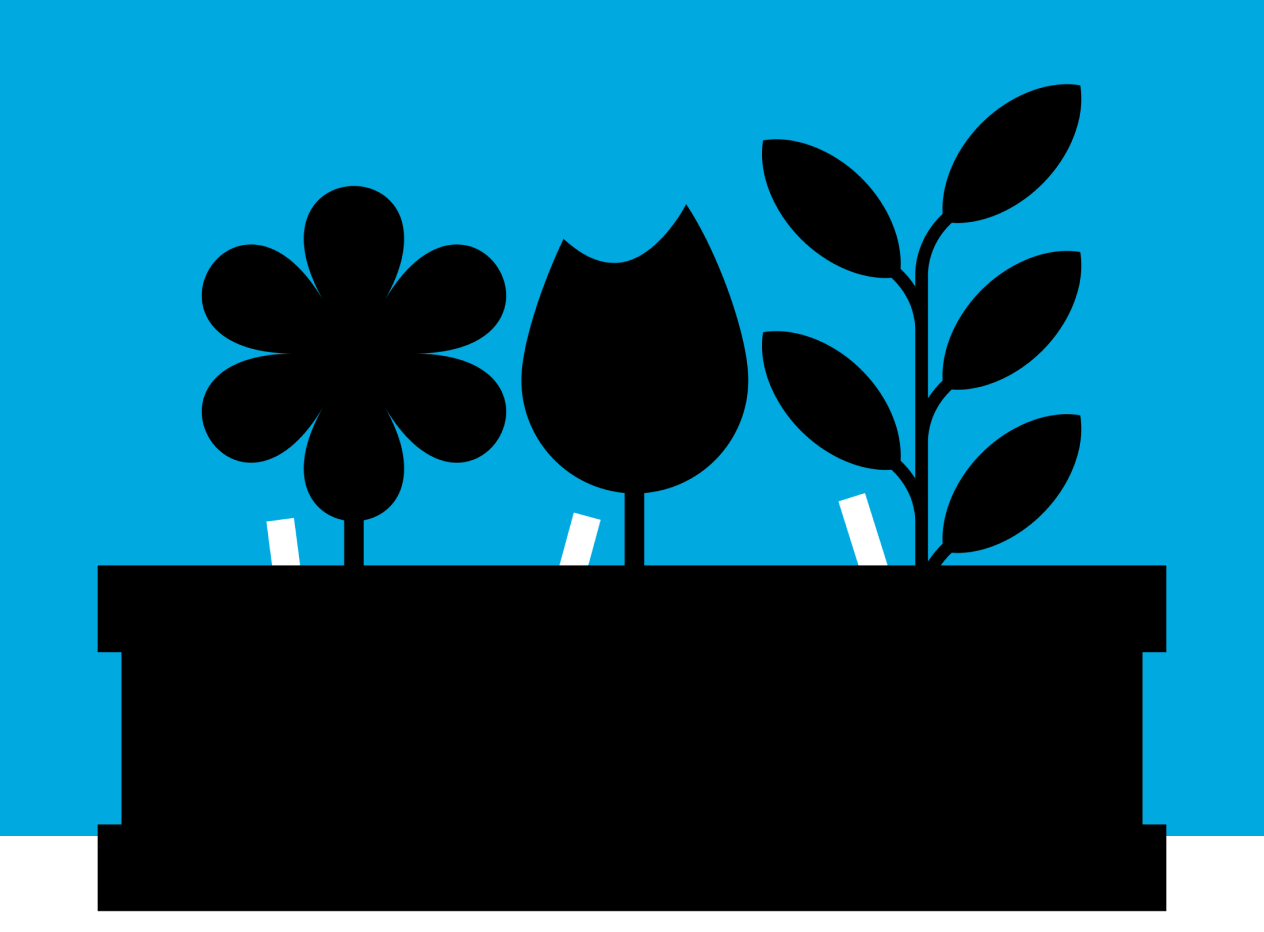 Illustration eines Blumenbeets