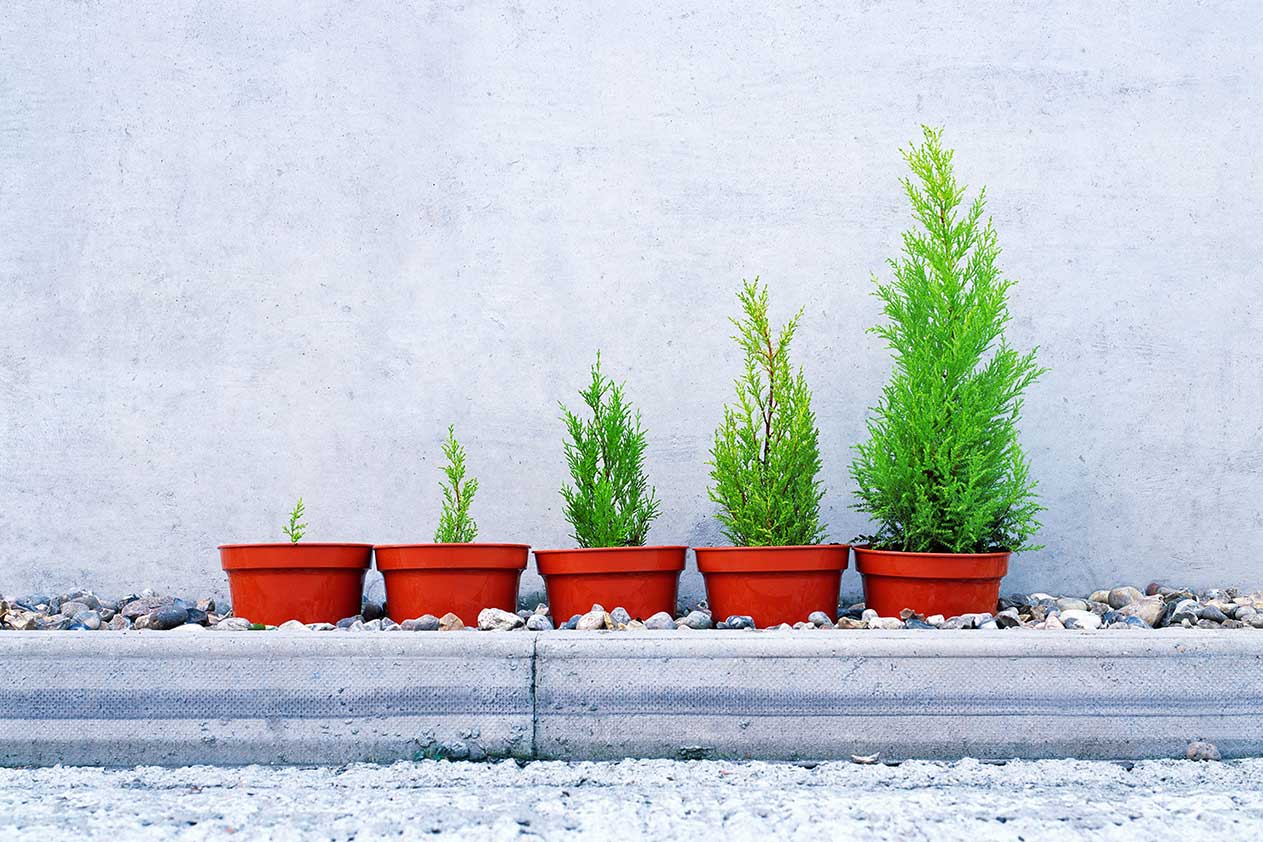 Image of a metronome.