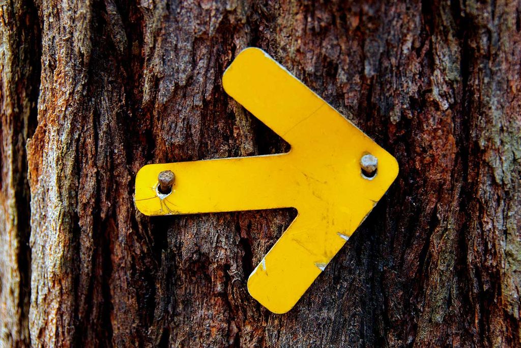 Image of a person standing in front of an arrow pointing in two directions.